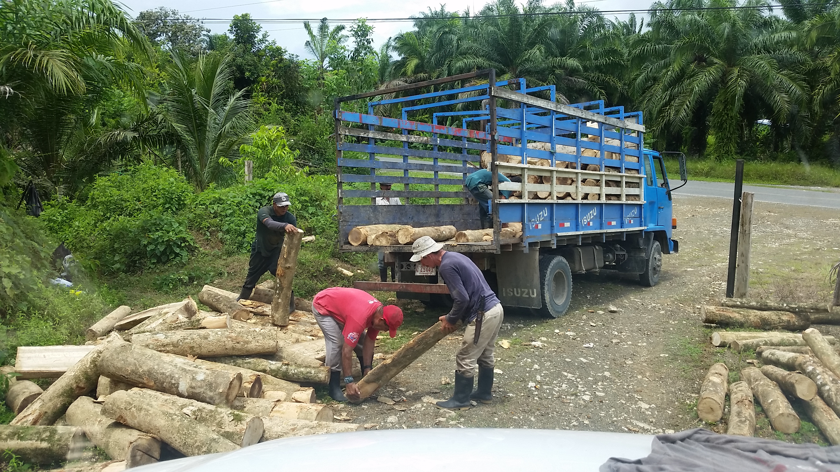 0 bed Land For Sale in Palmar, Puntarenas - thumb 17