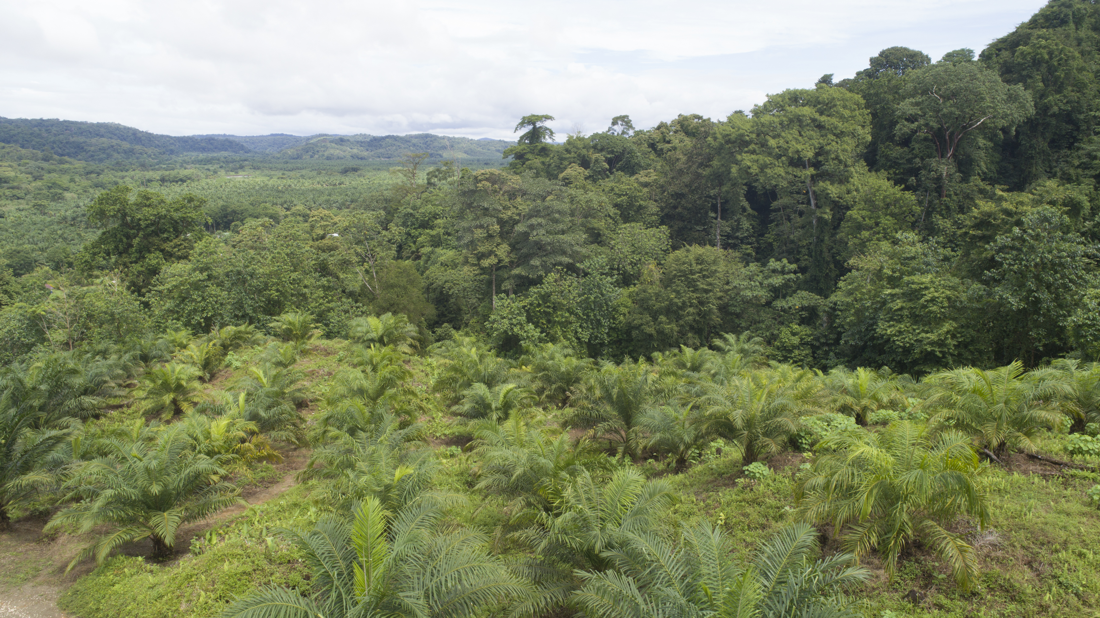 0 bed Land For Sale in Palmar, Puntarenas - thumb 18