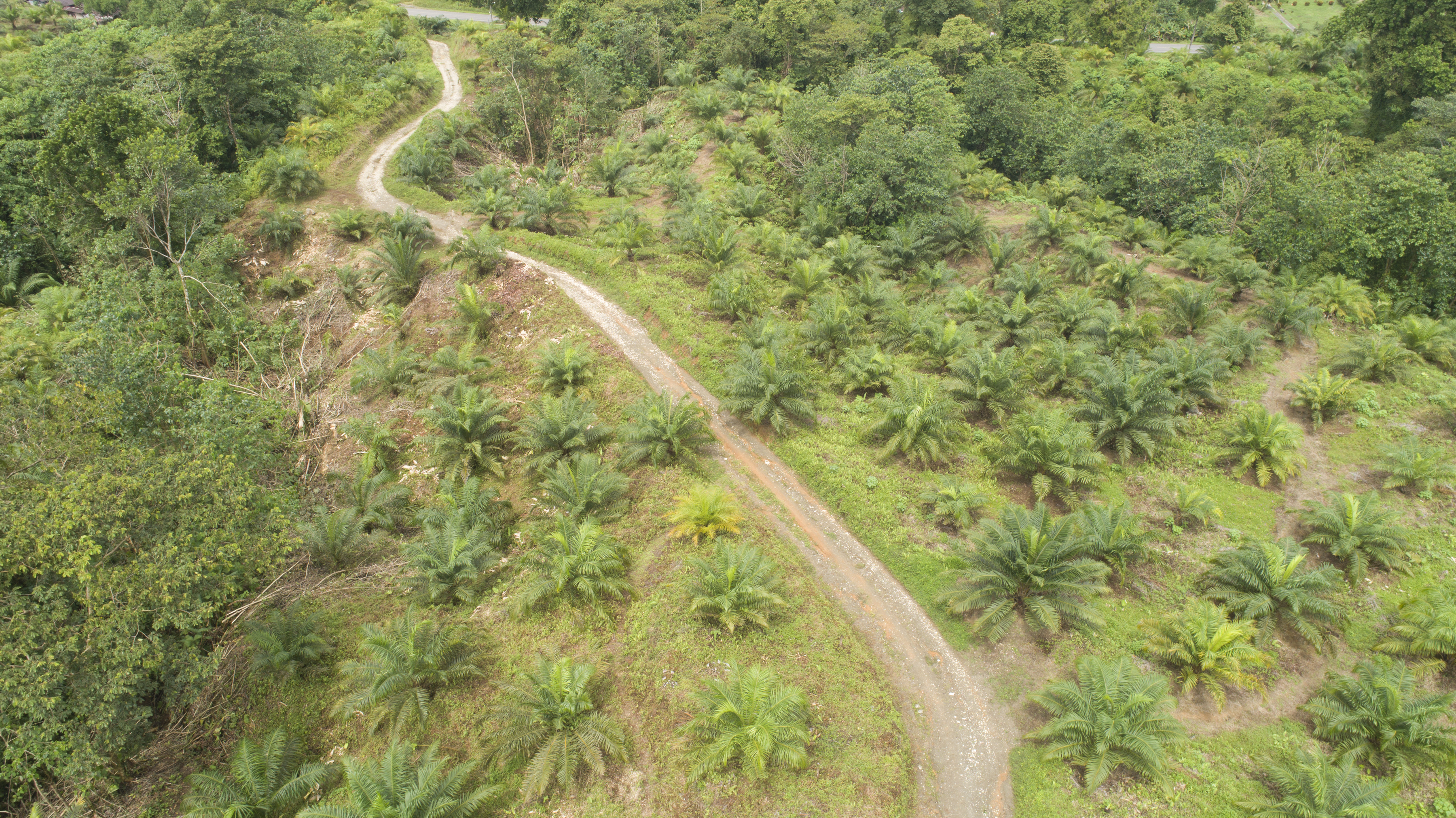 0 bed Land For Sale in Palmar, Puntarenas - thumb 20