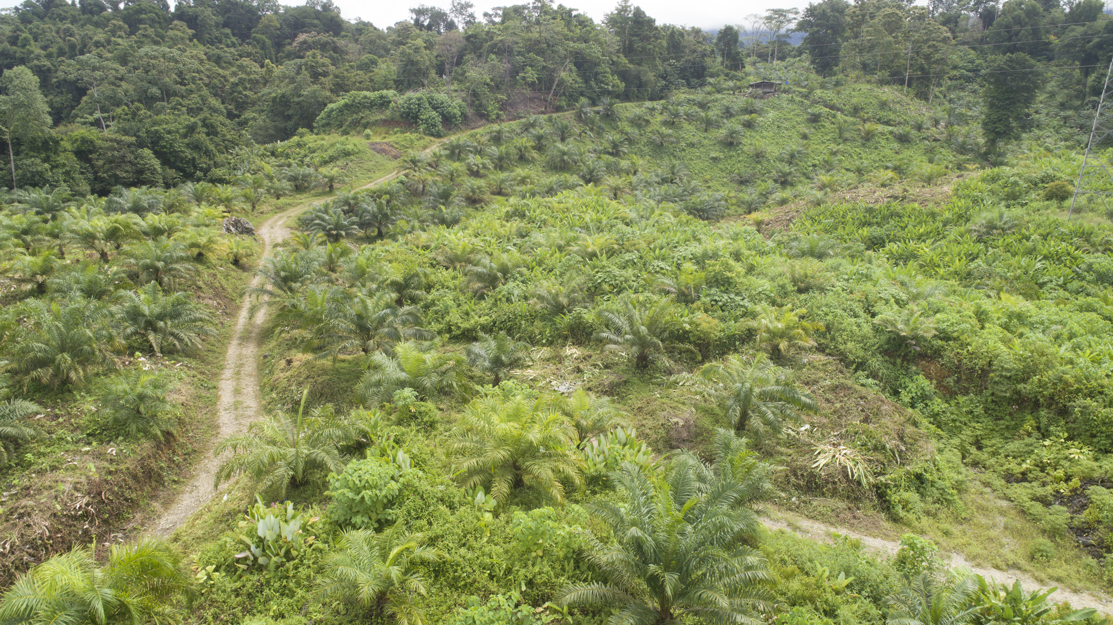0 bed Land For Sale in Palmar, Puntarenas - thumb 26