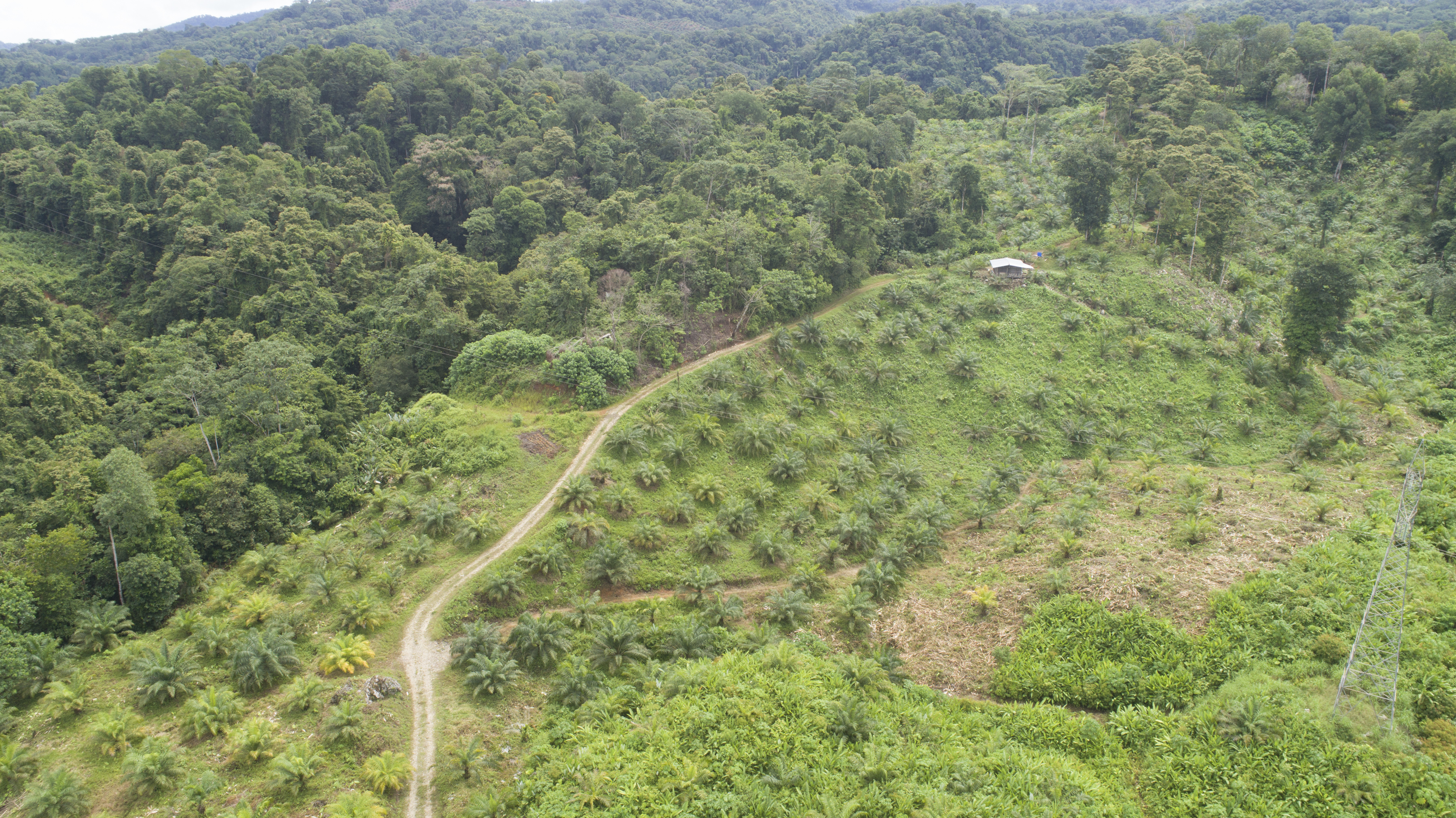 0 bed Land For Sale in Palmar, Puntarenas - thumb 27