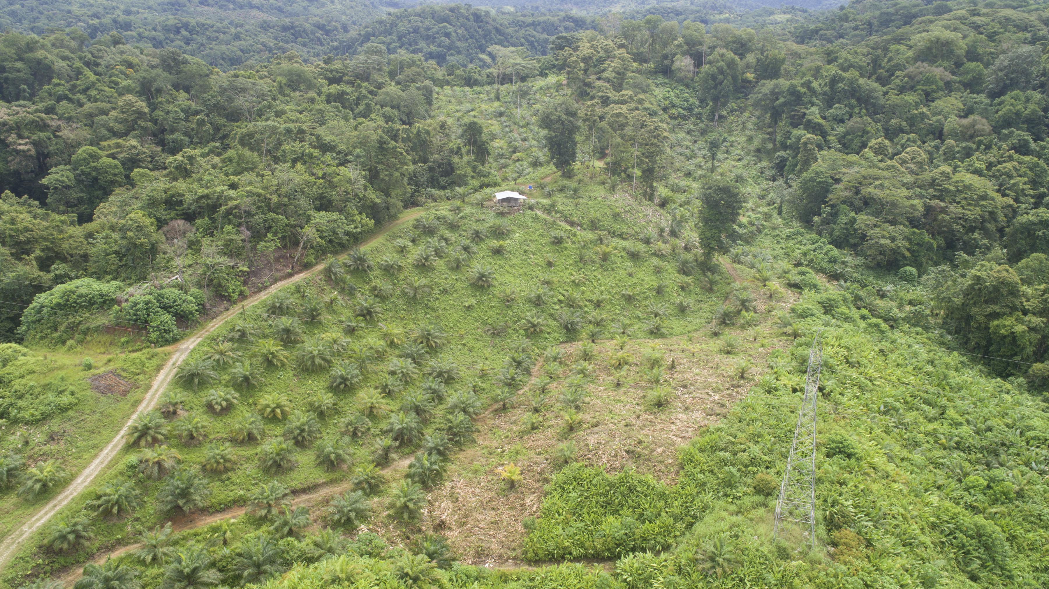 0 bed Land For Sale in Palmar, Puntarenas - thumb 28