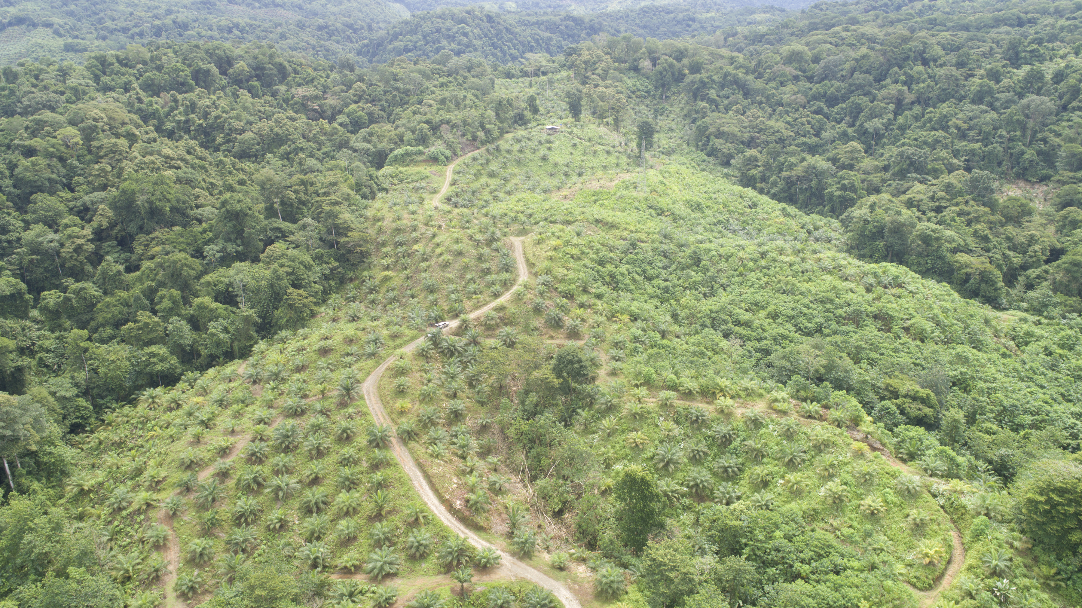 0 bed Land For Sale in Palmar, Puntarenas - thumb 29