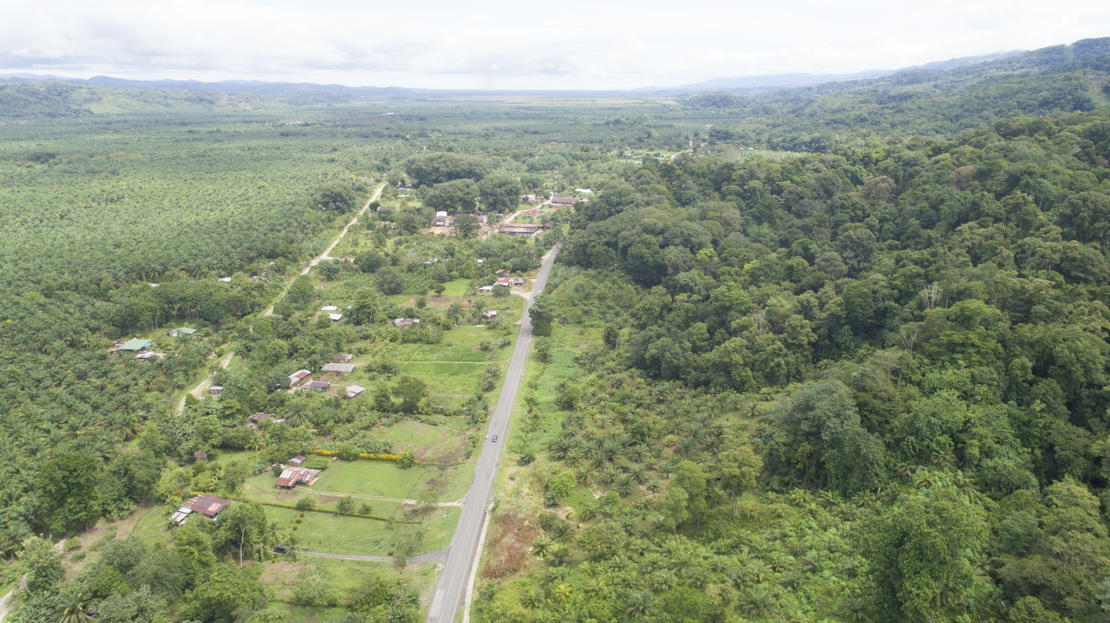 0 bed Land For Sale in Palmar, Puntarenas - thumb 30