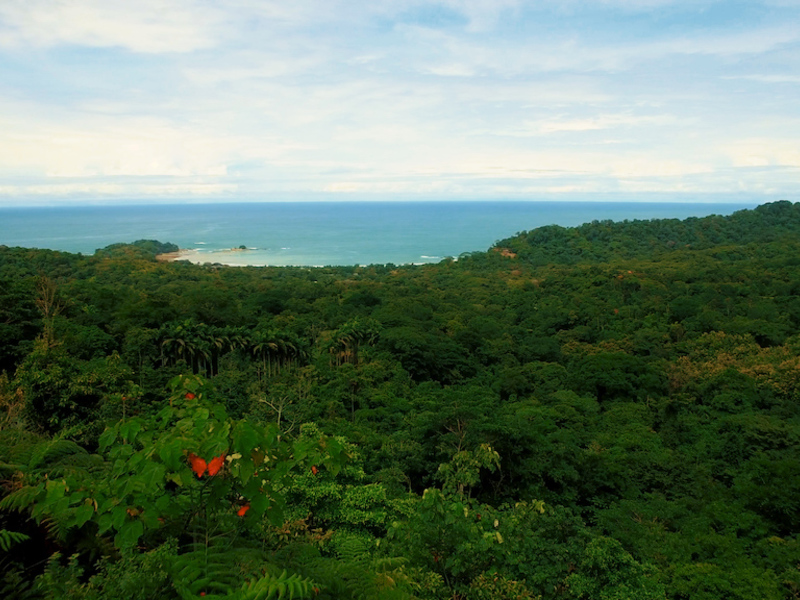 0 bed Land For Sale in Dominical, Puntarenas - 1