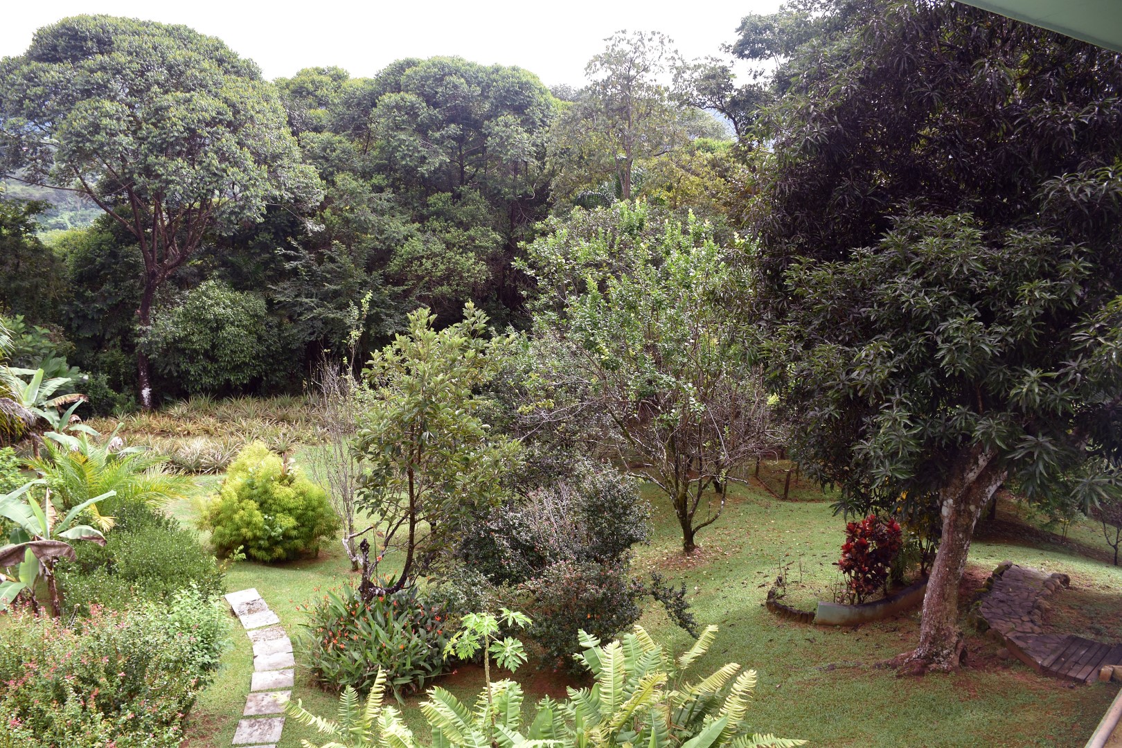 3 bed Single Family Homes For Sale in Dominical, Puntarenas - thumb 16