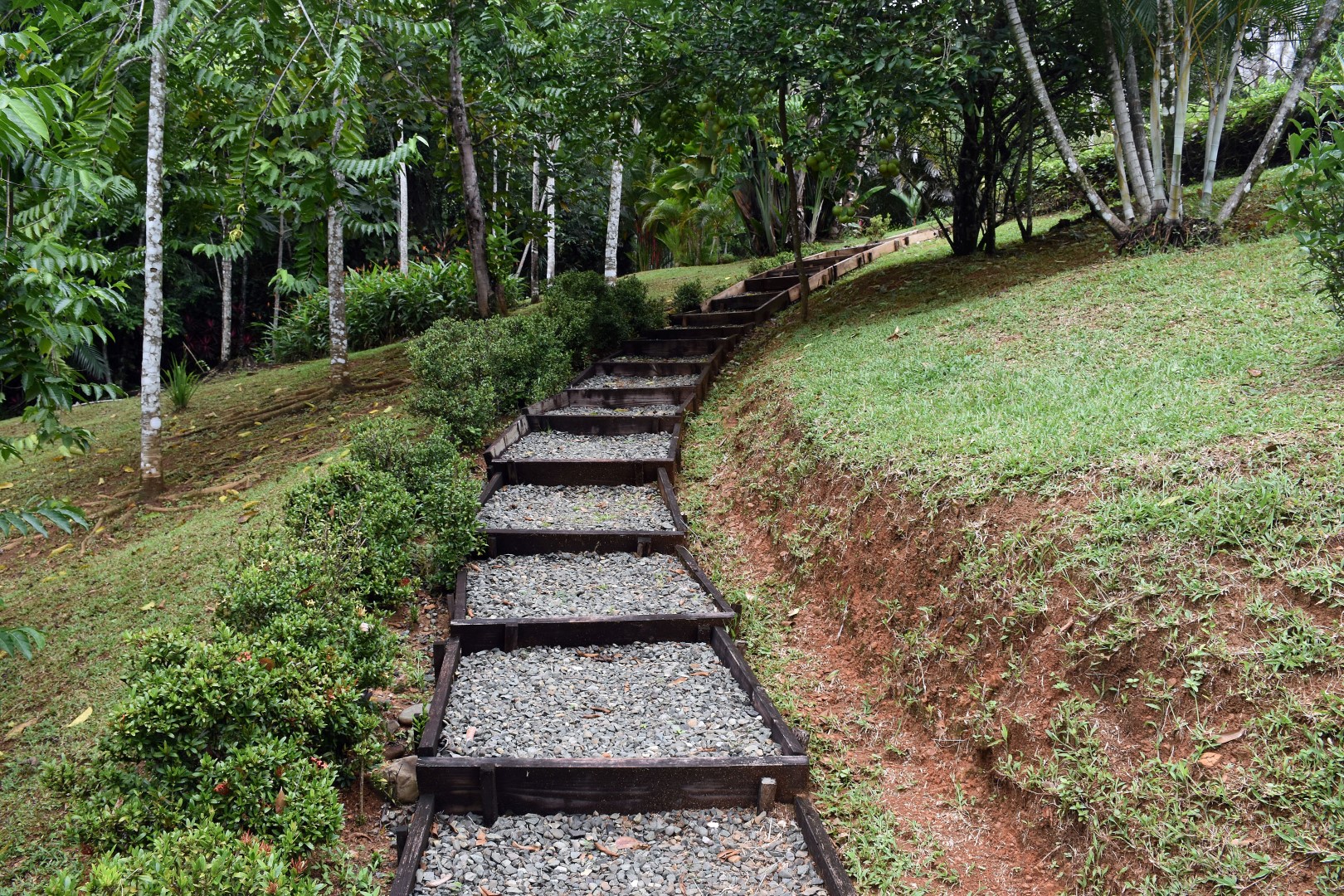 3 bed Single Family Homes For Sale in Dominical, Puntarenas - thumb 18