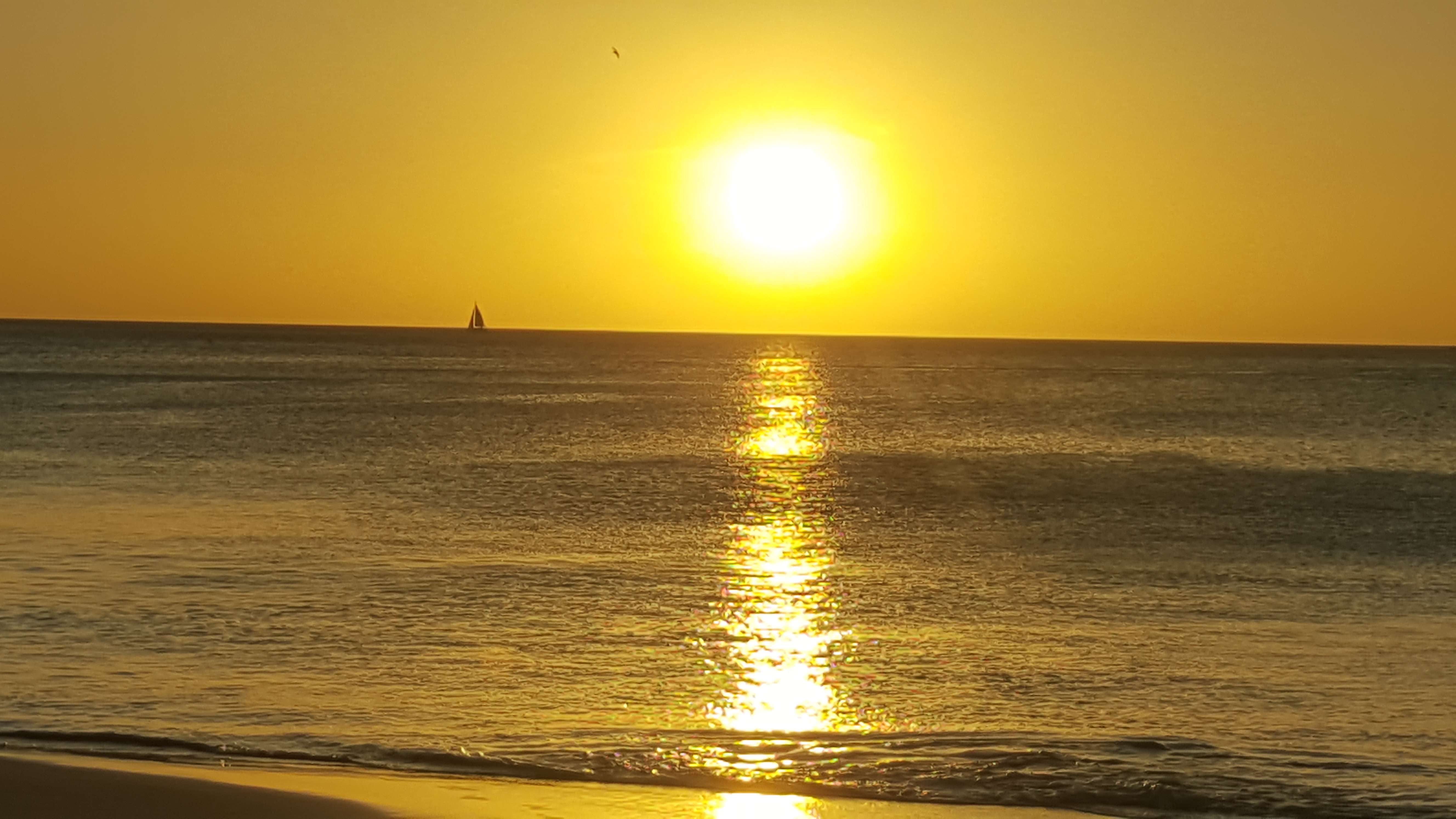 0 bed Commercial For Sale in Tamarindo, Guanacaste - thumb 1