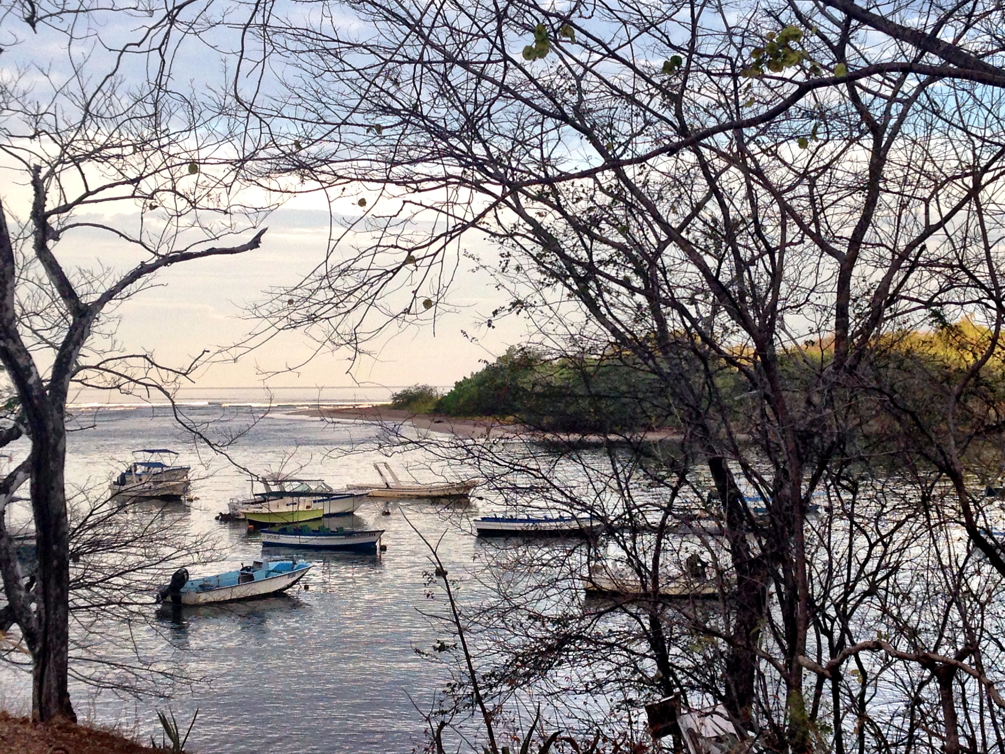 0 bed Commercial For Sale in Tamarindo, Guanacaste - thumb 4