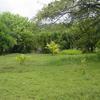  - Beachfront Concession Lot to develop at Playa Linda