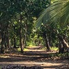  - Beachfront Concession Lot to develop at Playa Linda