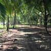  - Beachfront Concession Lot to develop at Playa Linda