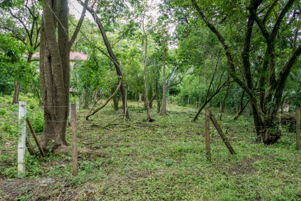 0 bed Land For Sale in Nosara, Guanacaste - thumb 1
