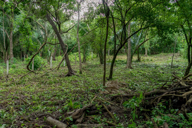 0 bed Land For Sale in Nosara, Guanacaste - thumb 6