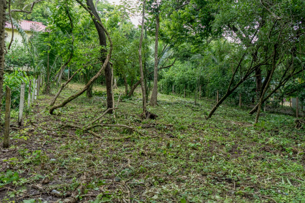 0 bed Land For Sale in Nosara, Guanacaste - thumb 3