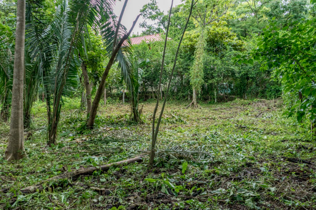 0 bed Land For Sale in Nosara, Guanacaste - thumb 4