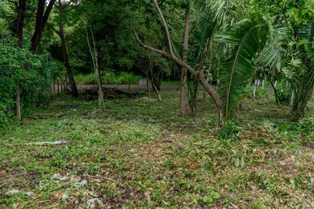 0 bed Land For Sale in Nosara, Guanacaste - thumb 5