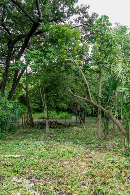 0 bed Land For Sale in Nosara, Guanacaste - thumb 11