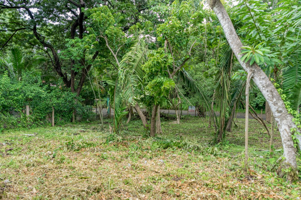 0 bed Land For Sale in Nosara, Guanacaste - thumb 8