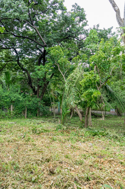0 bed Land For Sale in Nosara, Guanacaste - thumb 9