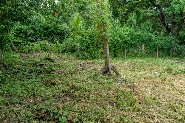 0 bed Land For Sale in Nosara, Guanacaste - thumb 10