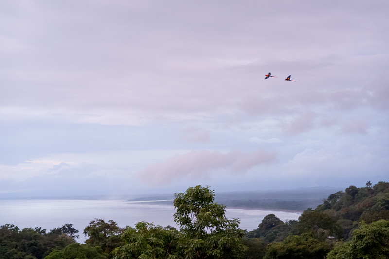 4 bed Single Family Homes For Sale in Manuel Antonio, Puntarenas - thumb 25