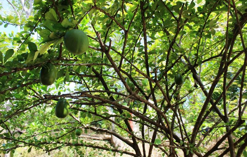 2 bed Condo For Sale in Playas Del Coco, Guanacaste - thumb 20