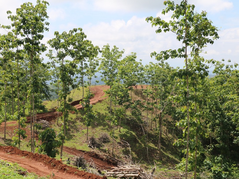 0 bed Land For Sale in Jaco, Puntarenas - 1