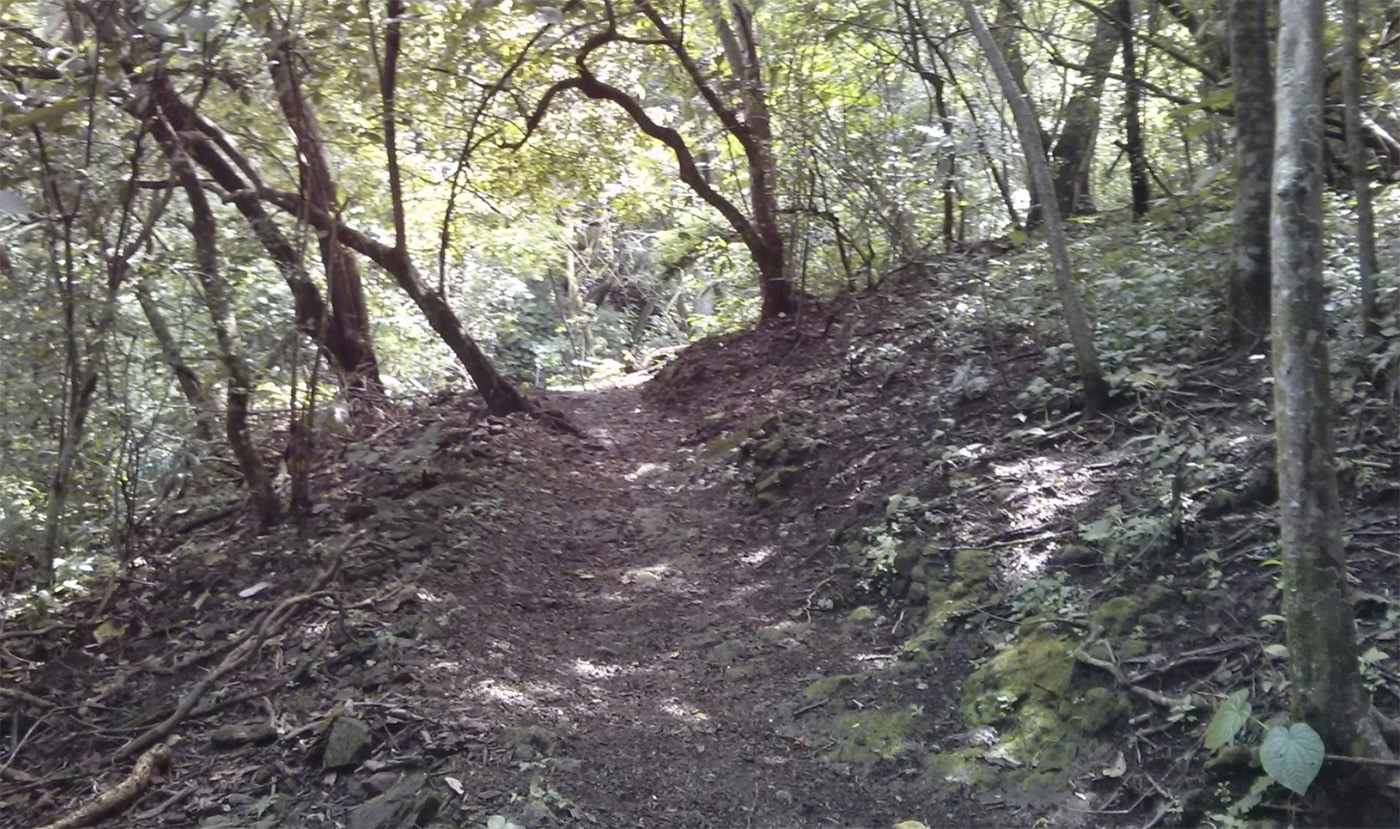 0 bed Land For Sale in Santa Ana, San Jose - thumb 17