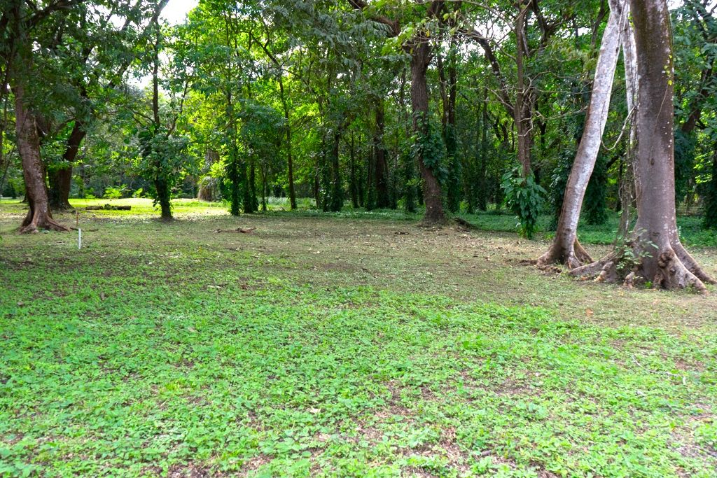 0 bed Land For Sale in Nosara, Guanacaste - thumb 1