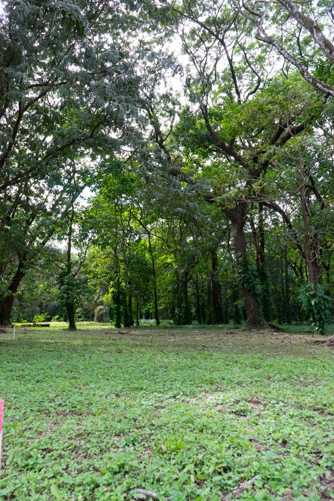 0 bed Land For Sale in Nosara, Guanacaste - thumb 7