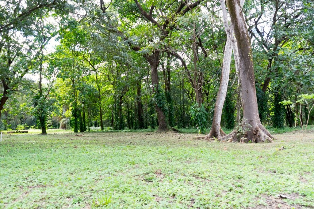 0 bed Land For Sale in Nosara, Guanacaste - thumb 3