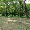  - Nosara Springs Lot 24-A