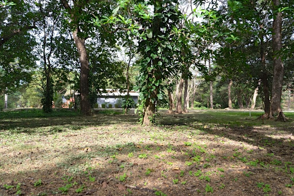 0 bed Land For Sale in Nosara, Guanacaste - thumb 11