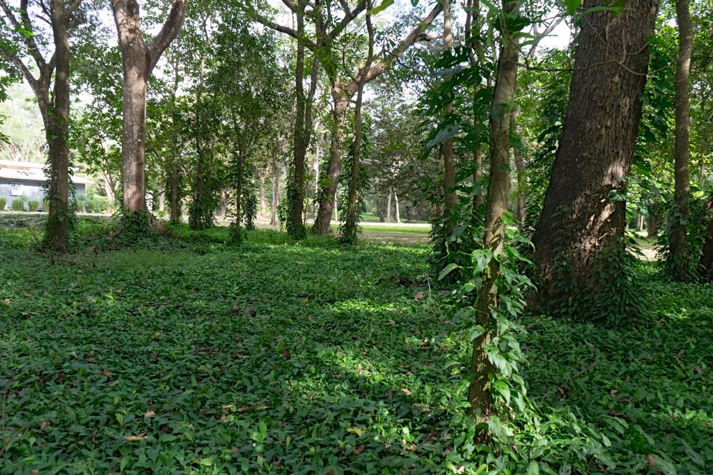 0 bed Land For Sale in Nosara, Guanacaste - thumb 12