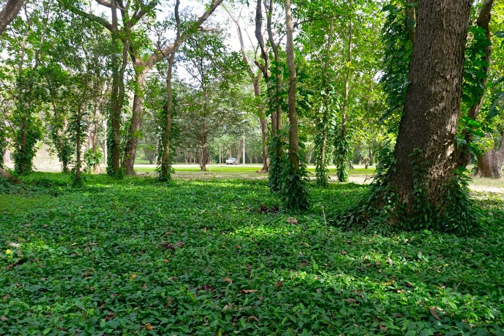 0 bed Land For Sale in Nosara, Guanacaste - thumb 2