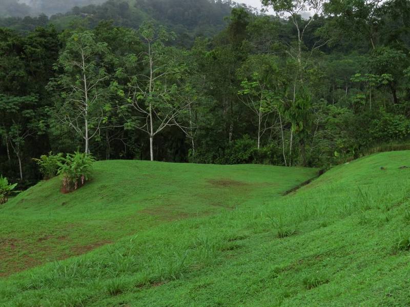 0 bed Land For Sale in Uvita, Puntarenas - 1