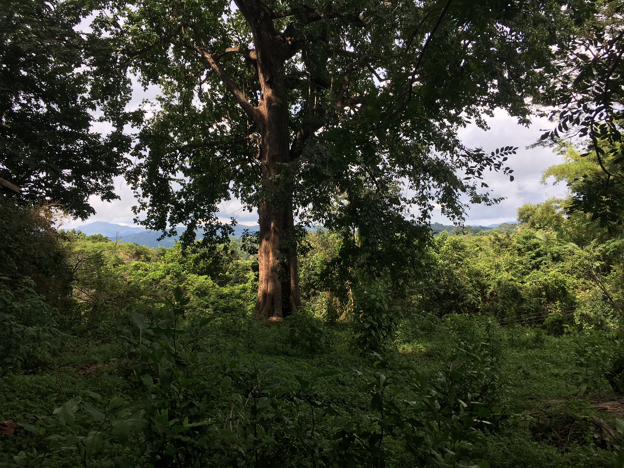 0 bed Land For Sale in Samara, Guanacaste - thumb 1