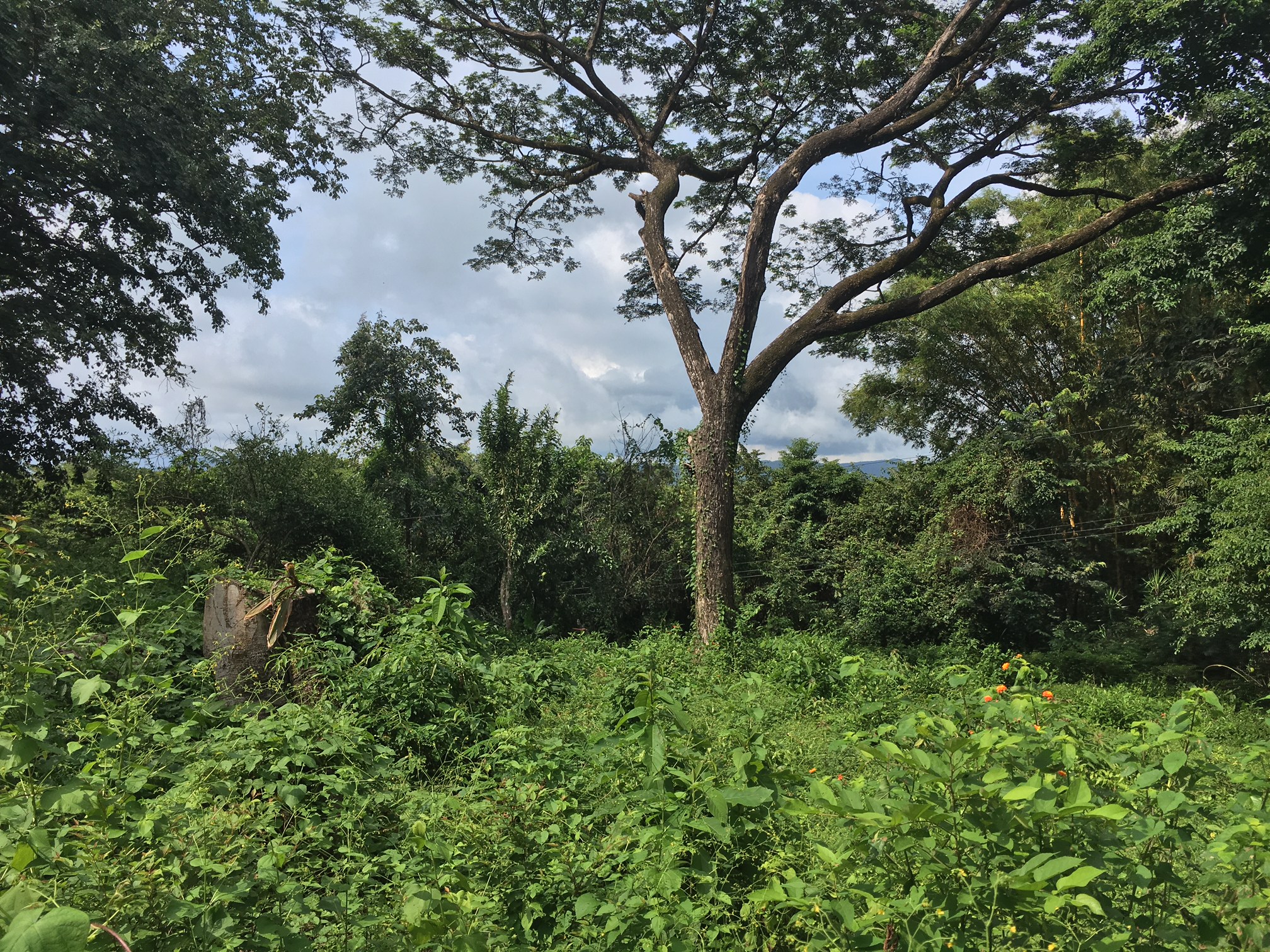 0 bed Land For Sale in Samara, Guanacaste - thumb 3