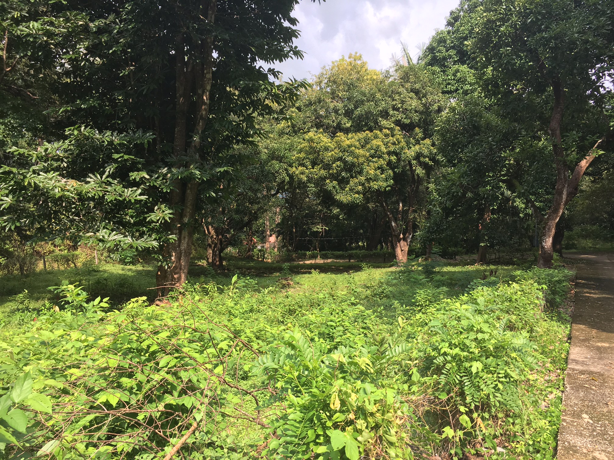 0 bed Land For Sale in Samara, Guanacaste - thumb 4