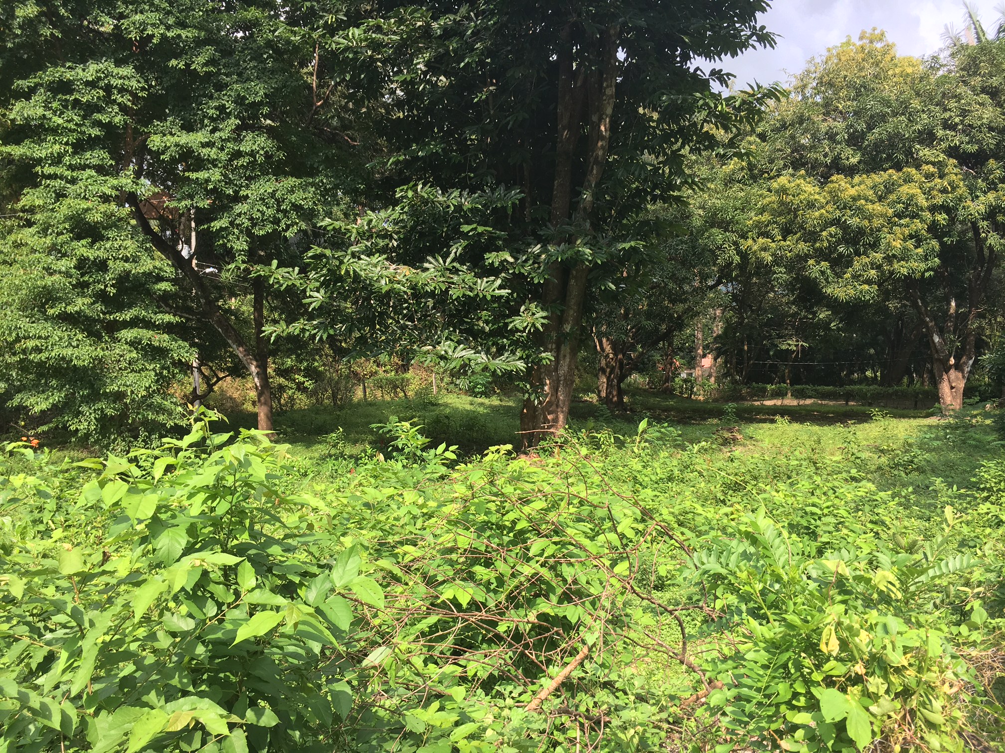 0 bed Land For Sale in Samara, Guanacaste - thumb 5