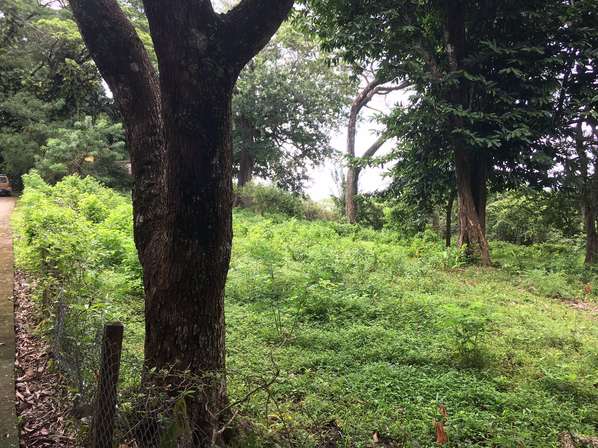 0 bed Land For Sale in Samara, Guanacaste - thumb 8