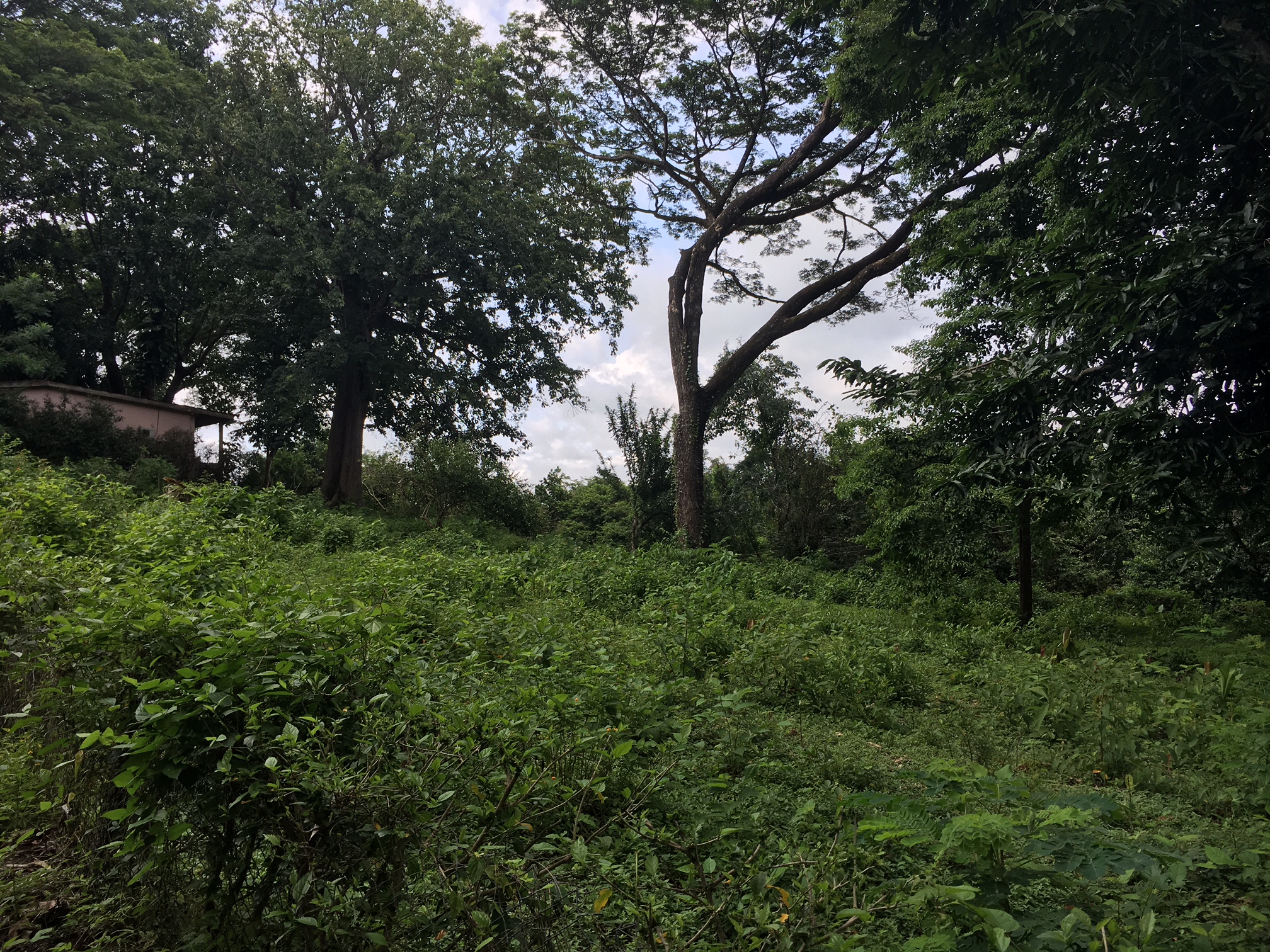 0 bed Land For Sale in Samara, Guanacaste - thumb 9