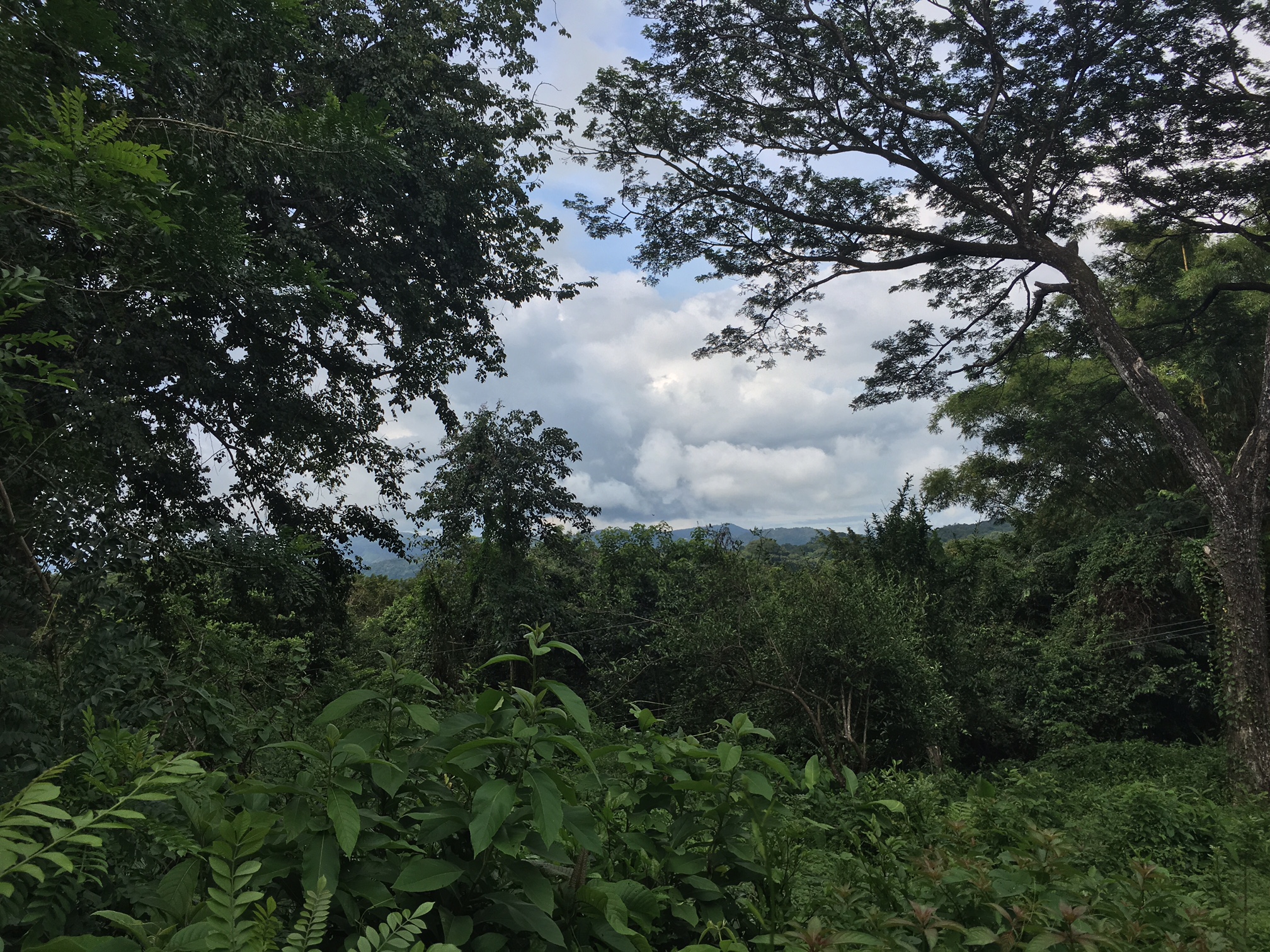 0 bed Land For Sale in Samara, Guanacaste - thumb 11