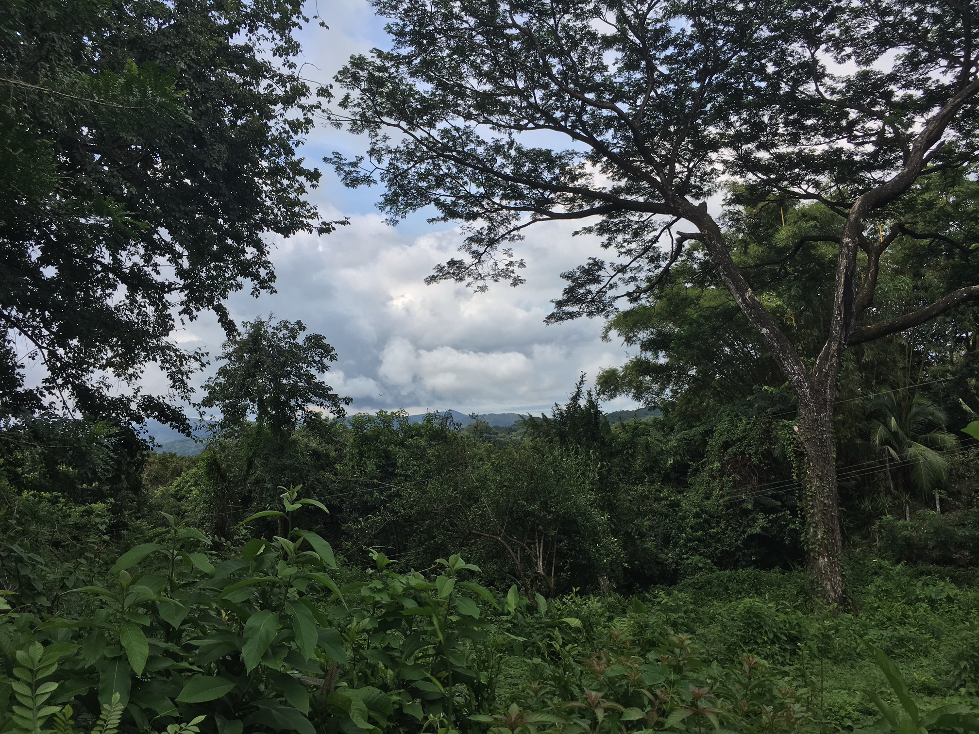 0 bed Land For Sale in Samara, Guanacaste - thumb 2