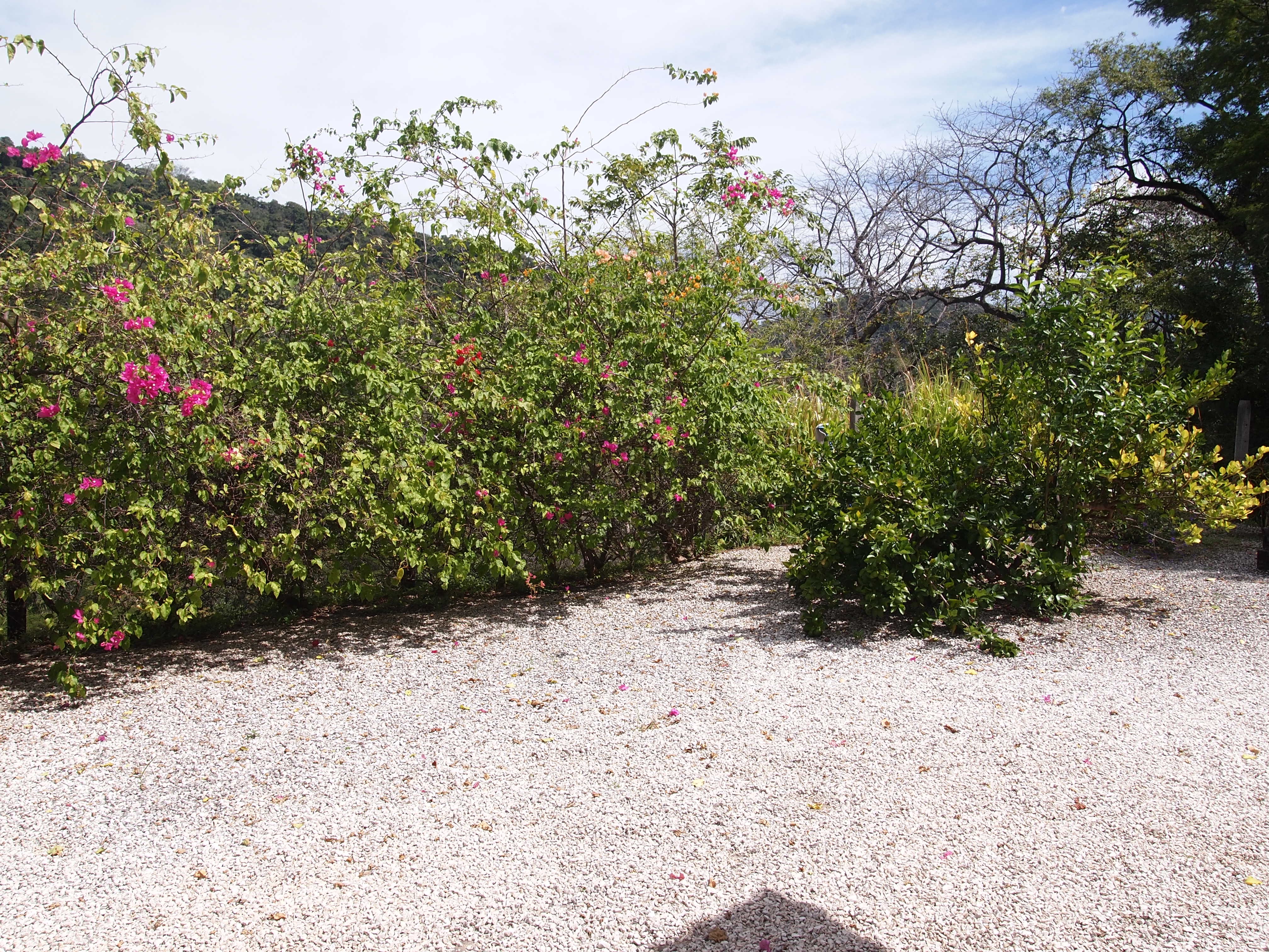 2 bed Single Family Homes For Sale in Samara, Guanacaste - thumb 7