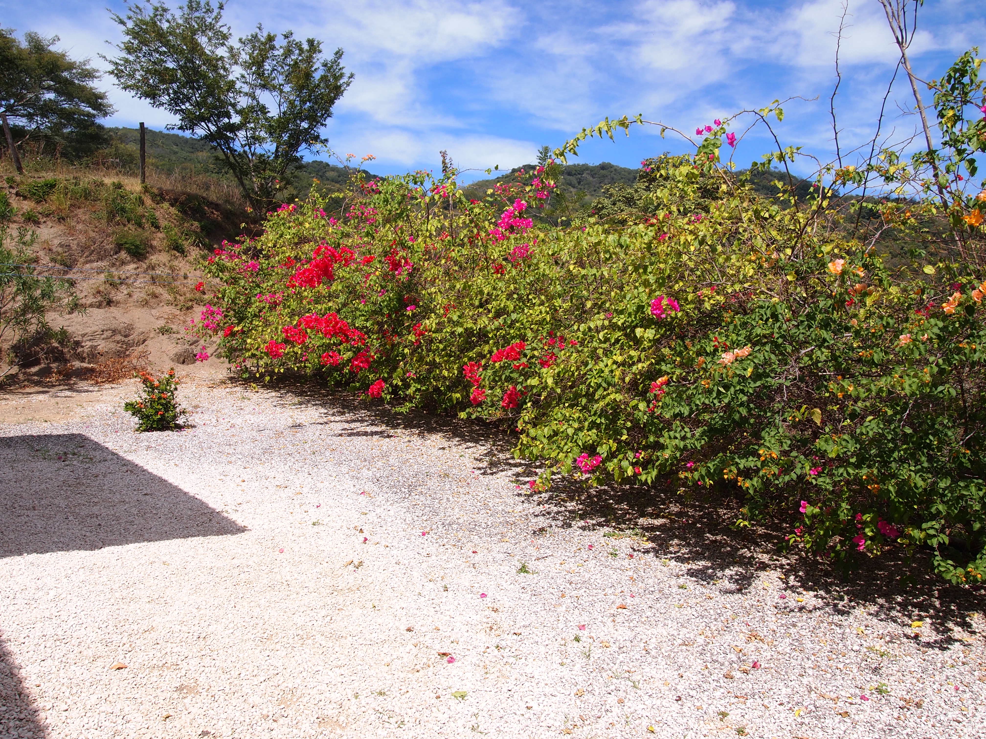 2 bed Single Family Homes For Sale in Samara, Guanacaste - thumb 8