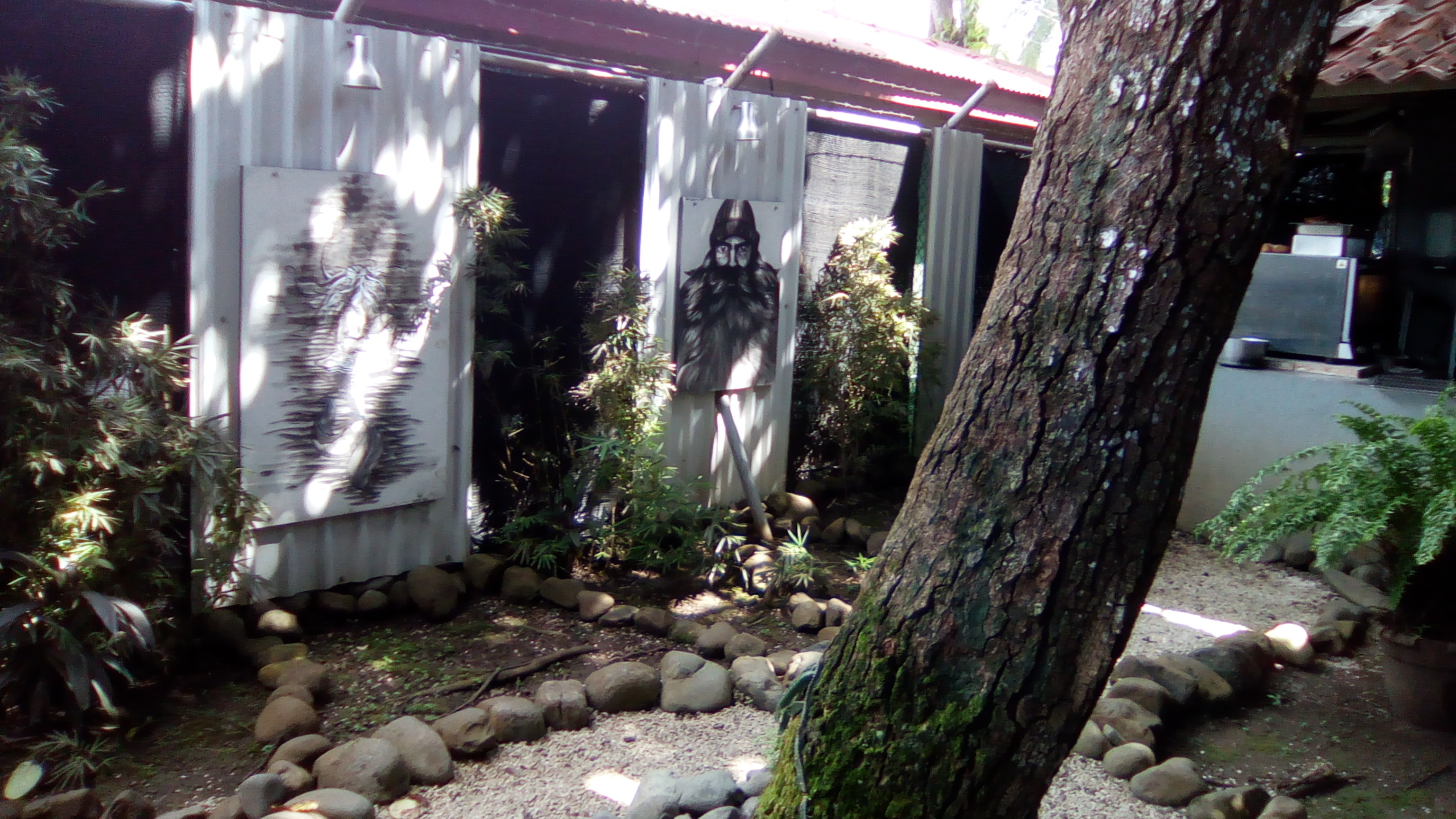 0 bed Commercial For Sale in Jaco, Puntarenas - thumb 9
