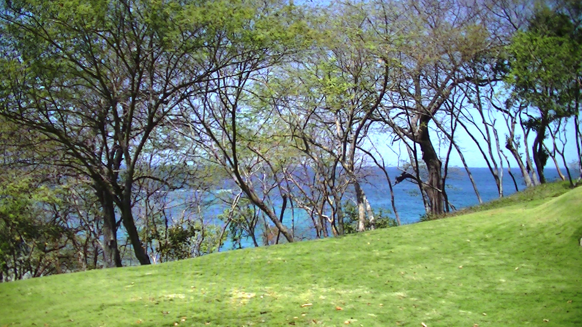 2 bed Fractional For Sale in Papagayo Gulf, Guanacaste - thumb 16