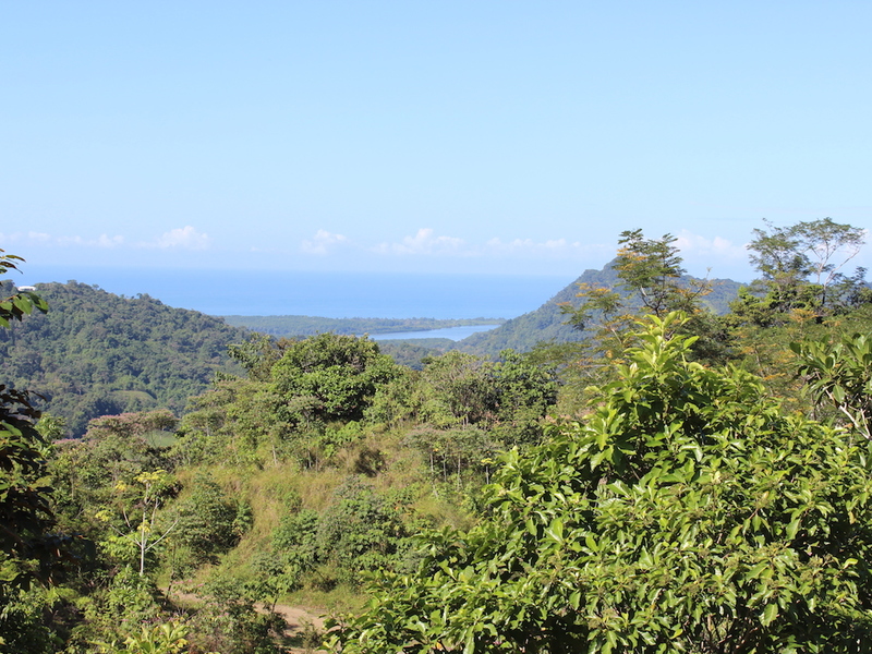 0 bed Land For Sale in Ojochal, Puntarenas - 1